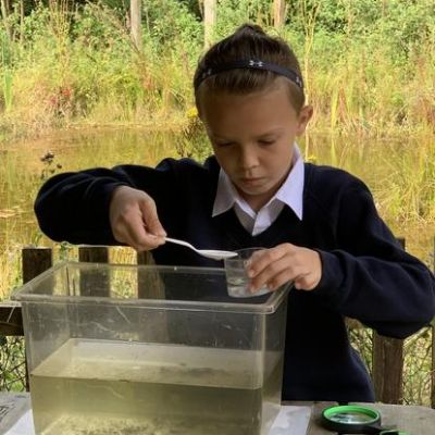 Year 4 visited Blashford lakes